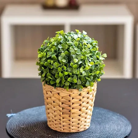 Lägenhet Le Nature Un Joli F2 Au Coeur De ! *