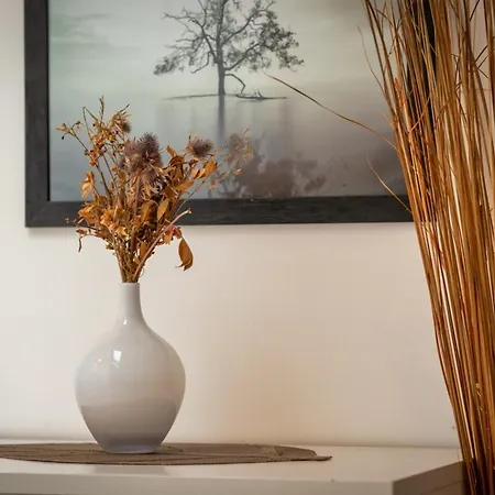 Lägenhet Le Nature Un Joli F2 Au Coeur De ! Rouen